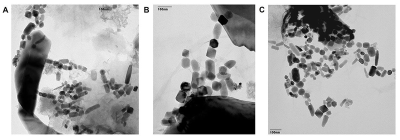 Imágenes de los magnetofósiles ricos en Hierro-60